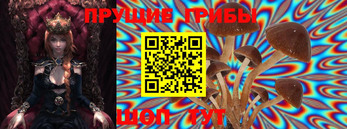 Аксай  Псилоцибиновые грибы Psilocybe  Вход с VPN  Галлюциногенные грибы прущие грибы 