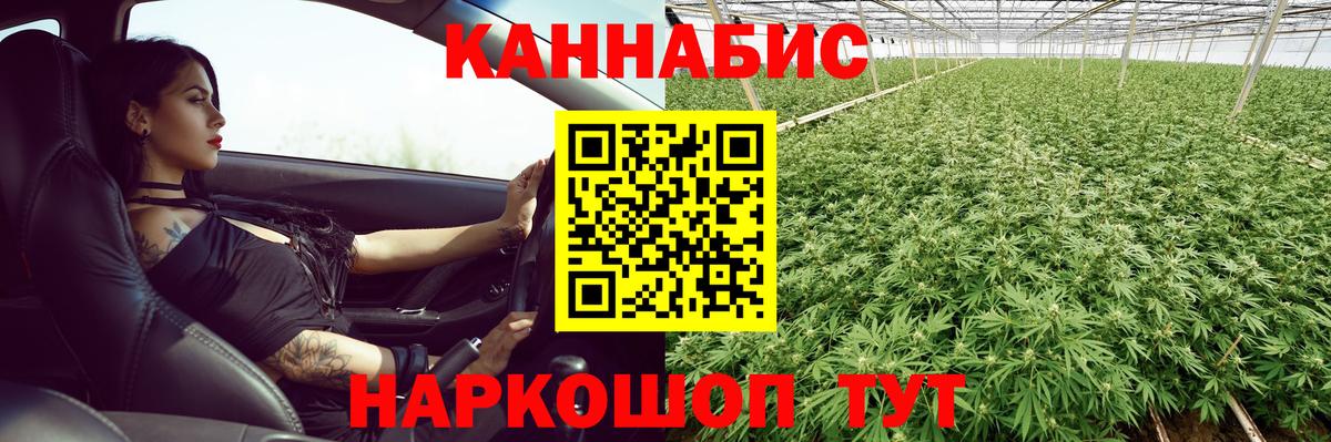 Каннабис индика Аксай